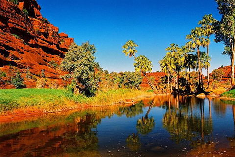 Palm Valley 4WD Day Tour - Pubs Adelaide 2