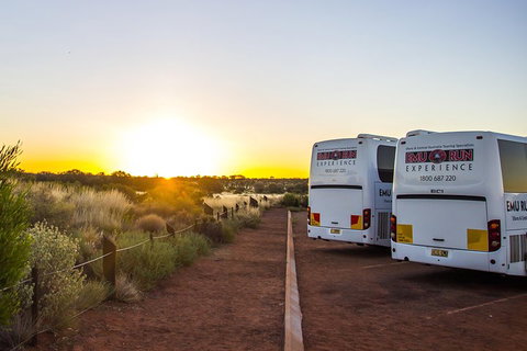 Uluru And Kata Tjuta Experience With BBQ Dinner - Pubs Adelaide 2