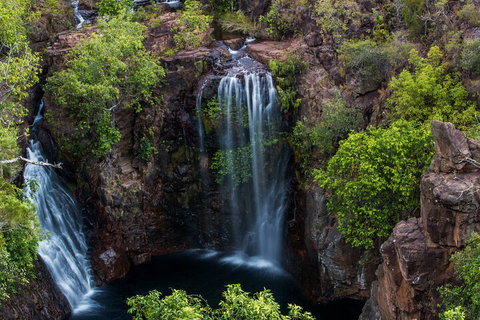 Litchfield National Park - Top End Day Tour From Darwin - Pubs Adelaide 2