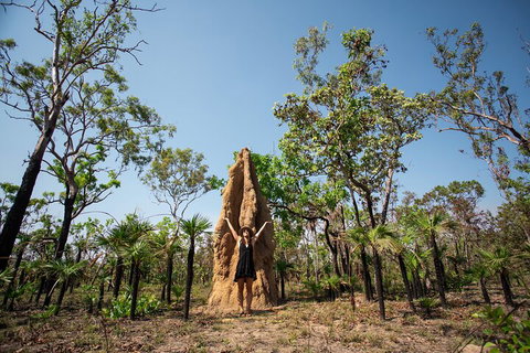 Litchfield National Park - Top End Day Tour From Darwin - Pubs Adelaide 5