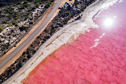 7-Day Exmouth Explorer Via Pinnacles Monkey Mia Ningaloo Reef Returning To Perth - Pubs Adelaide 0