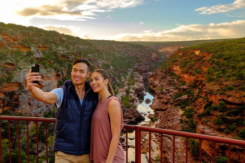 7-Day Exmouth Explorer Via Pinnacles Monkey Mia Ningaloo Reef Returning To Perth - Pubs Adelaide 5