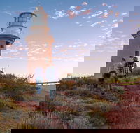 6-Day Coral Coaster from Perth to Exmouth One-Way via Monkey Mia Ningaloo Reef - Pubs Adelaide