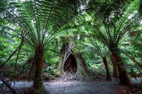 2-Day Melbourne To Adelaide Tour: Great Ocean Road And Grampians One Way Trip - Pubs Adelaide 3