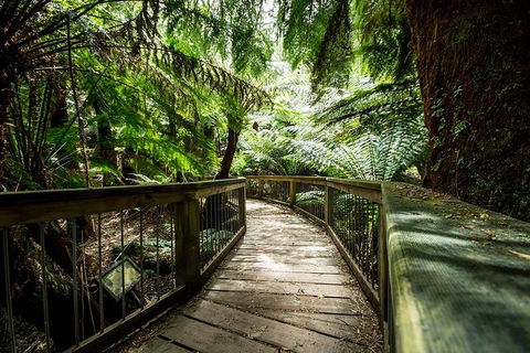 Melbourne To Adelaide South East Coast 3 Day Overland Tour - Pubs Adelaide 1