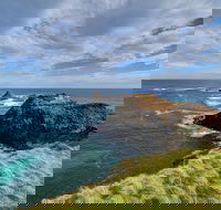 Small-Group Phillip Island Day Trip from Melbourne with Penguin Plus Viewing - Pubs Adelaide