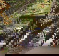 Adelaide Highlights Hahndorf  McLaren Vale Wine Tasting and Sightseeing Tour - Pubs Adelaide