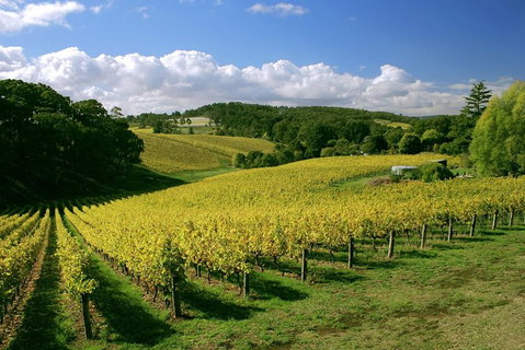 McLaren Vale And Glenelg Wine Tasting And Sightseeing (Half-day Afternoon) - Pubs Adelaide 4