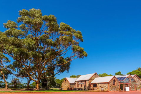 McLaren Vale And Glenelg Wine Tasting And Sightseeing (Half-day Afternoon) - Pubs Adelaide 5