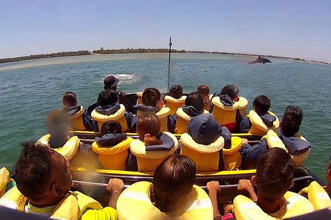 Jet Boat Express Ride - 30mins - Pubs Adelaide 5