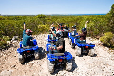Kangaroo Island Quad Bike (ATV) Tours - Pubs Adelaide 3