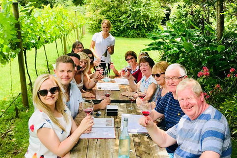 Mount Tamborine Wine Tasting Tour From Brisbane Or The Gold Coast - Pubs Adelaide 5