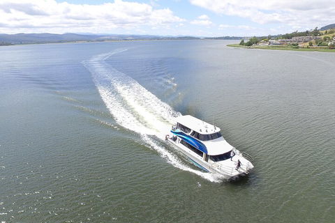 2.50 Hour Afternoon Discovery Cruise Including Cataract Gorge Departing At 3 Pm - Pubs Adelaide 0