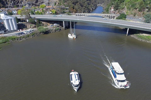 2.50 Hour Afternoon Discovery Cruise Including Cataract Gorge Departing At 3 Pm - Pubs Adelaide 5