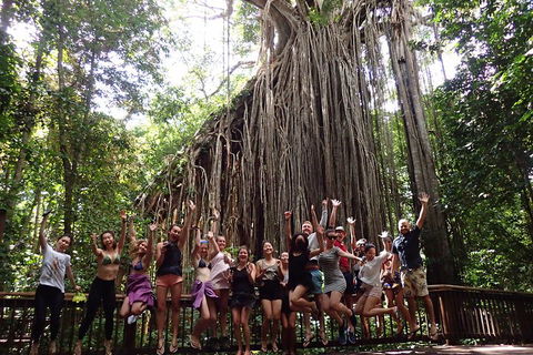 Atherton Tablelands Waterfalls Tour From Cairns - Pubs Adelaide 5