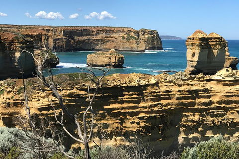 Great Ocean Road Reverse Itinerary Tour - Pubs Adelaide 1
