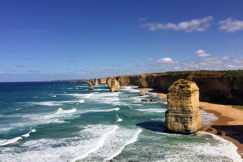 Great Ocean Road Reverse Itinerary Tour - Pubs Adelaide 4