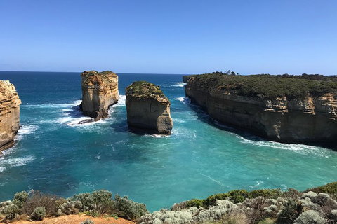 Great Ocean Road Reverse Itinerary PREMIUM Tour - Pubs Adelaide 0