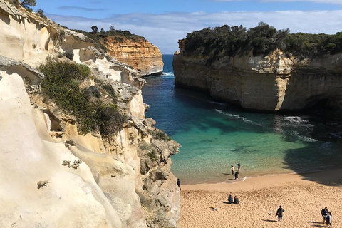 Great Ocean Road Reverse Itinerary PREMIUM Tour - Pubs Adelaide 3