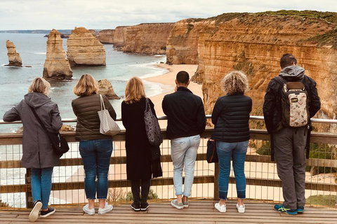 Great Ocean Road Reverse Itinerary PREMIUM Tour - Pubs Adelaide 5