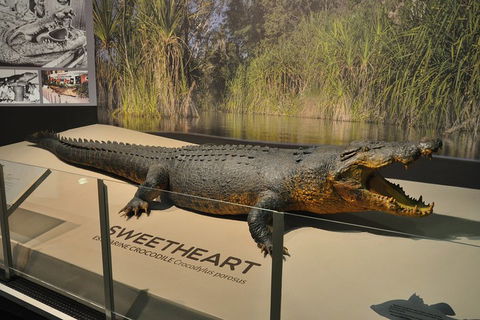 Explore Darwin City Sights Including Key Attractions - Pubs Adelaide 2