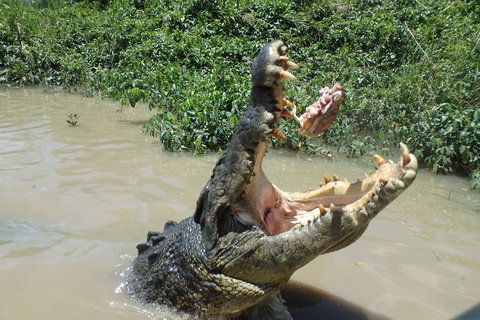 Litchfield And Jumping Crocodiles Full Day Trip From Darwin - Pubs Adelaide 3