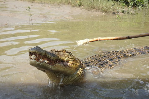 Litchfield And Jumping Crocodiles Full Day Trip From Darwin - Pubs Adelaide 4