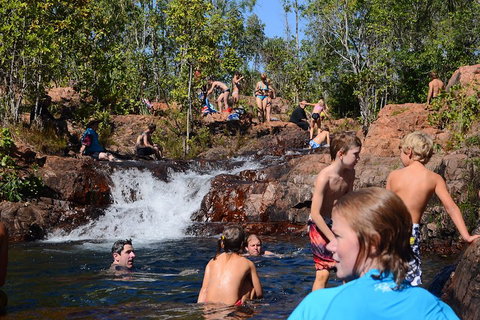 Litchfield And Jumping Crocodiles Full Day Trip From Darwin - Pubs Adelaide 5