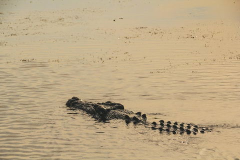 Yellow Water Cruise - Kakadu - Pubs Adelaide 2