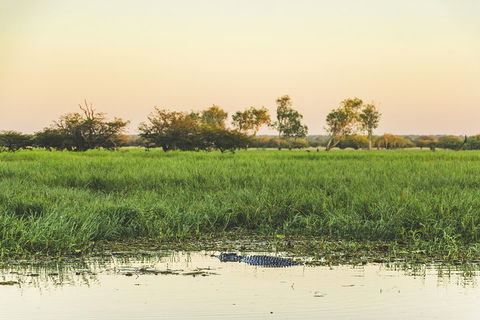 Yellow Water Cruise - Kakadu - Pubs Adelaide 3