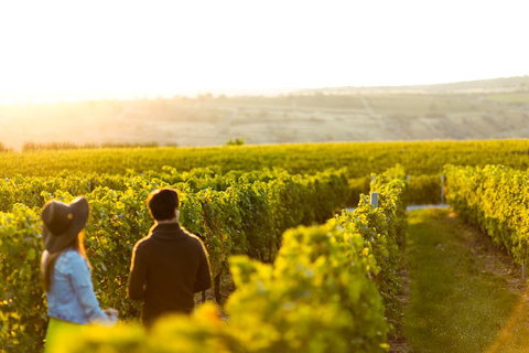 Margaret River Private Tour - Pubs Adelaide 2