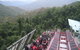 Blue Mountains Private Tour With Wildlife Park And River Cruise - thumb 1