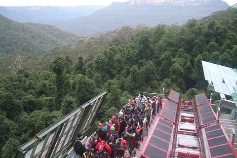 Blue Mountains Private Tour With Wildlife Park And River Cruise - Pubs Adelaide 1