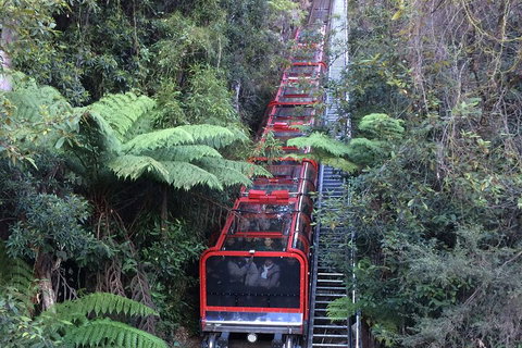 Blue Mountains Private Full-Day Tour From Sydney With Cruise - Pubs Adelaide 5