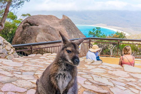 Wineglass Bay & Freycinet NP Full Day Tour From Hobart Via Richmond Village - Pubs Adelaide 0