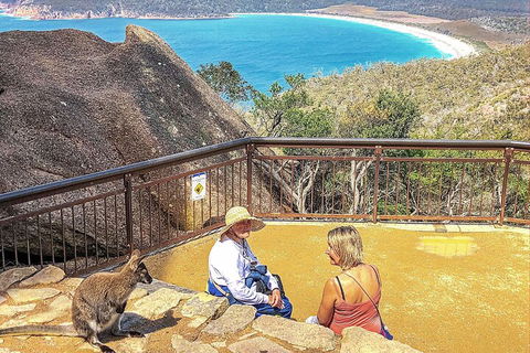 Wineglass Bay & Freycinet NP Full Day Tour From Hobart Via Richmond Village - Pubs Adelaide 1