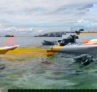 Seal Island and Penguin Island or Point Peron Sea Kayak Tour - Pubs Adelaide