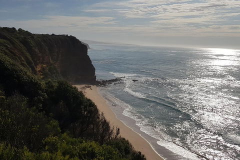 Full-Day Great Ocean Road Tour From Melbourne - Pubs Adelaide 0