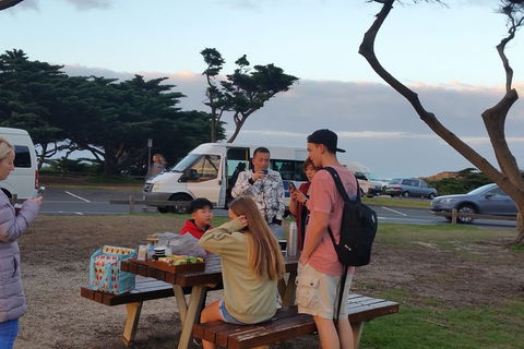 Surf Tour And Lesson - Pubs Adelaide 2