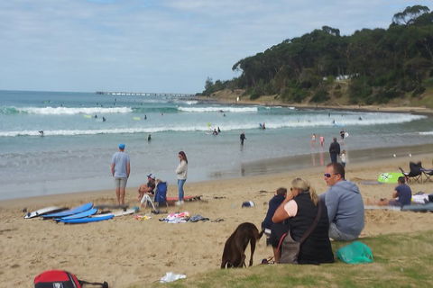Surf Tour And Lesson - Pubs Adelaide 5