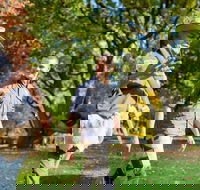 Aboriginal Heritage Walk - Royal Botanic Gardens Victoria Melbourne Gardens - Pubs Adelaide