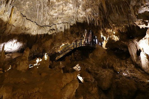 Ngilgi Cave Semi-guided Tour - Pubs Adelaide 2