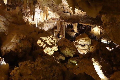 Ngilgi Cave Semi-guided Tour - Pubs Adelaide 3
