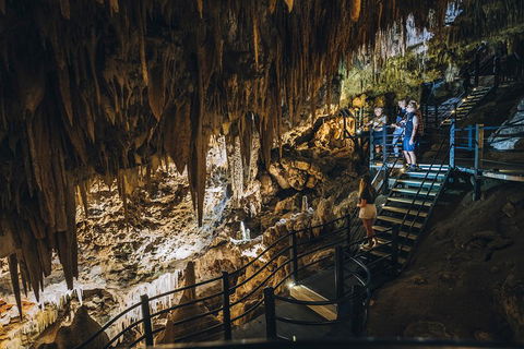 Ngilgi Cave Semi-guided Tour - Pubs Adelaide 5