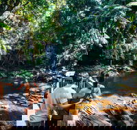 Aquaduck  Your choice of Gold Coast Rainforest Tour - Pubs Adelaide