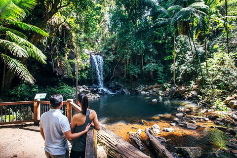 Aquaduck & Your Choice Of Gold Coast Rainforest Tour - Pubs Adelaide 0