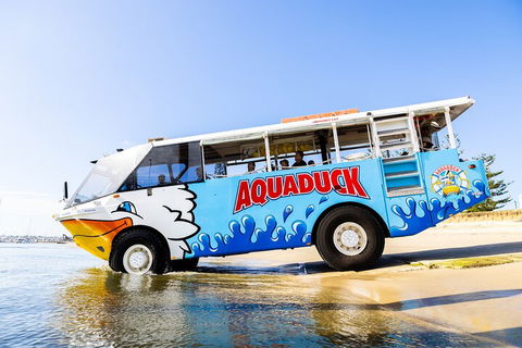 Aquaduck & Your Choice Of Gold Coast Rainforest Tour - Pubs Adelaide 3