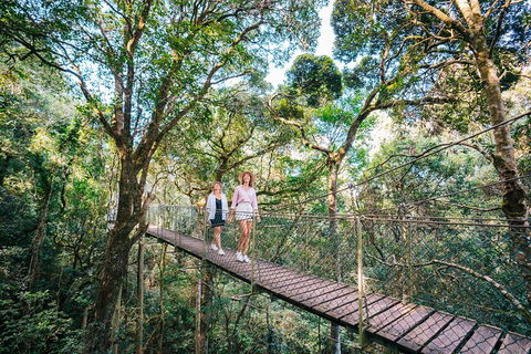 Aquaduck & Your Choice Of Gold Coast Rainforest Tour - Pubs Adelaide 4