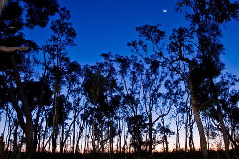 Small-Group Kangaroo Island 4WD Night Tour - Pubs Adelaide 2