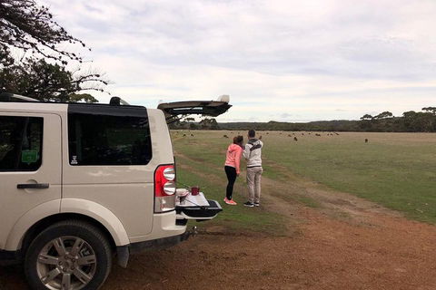 Kangaroo Island 4WD Tour - Flinders Chase - Pubs Adelaide 3